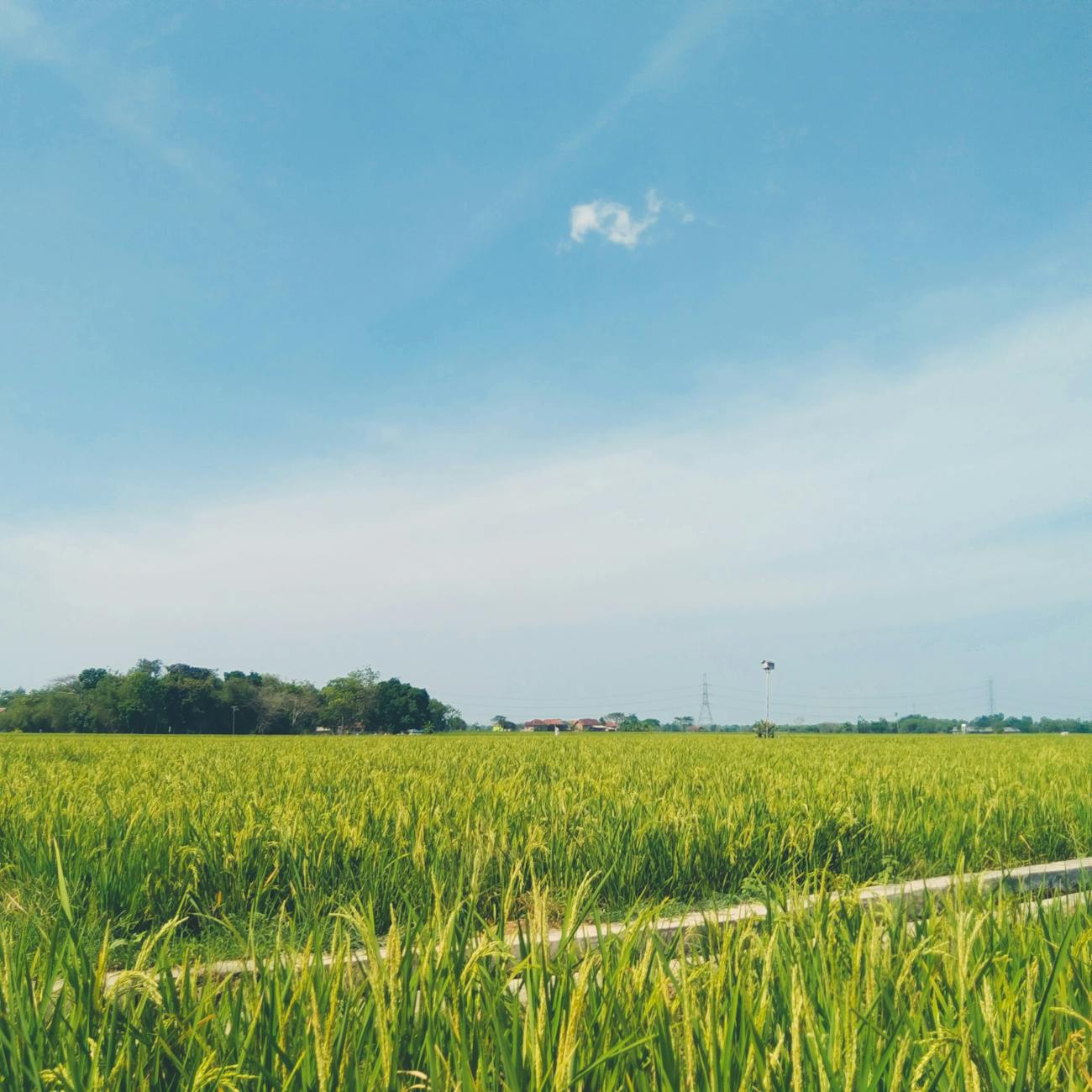 Introduction to Agro-Commodity Trading