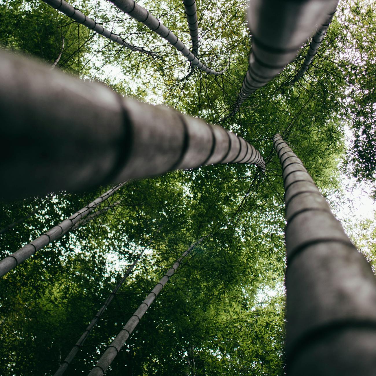 Sustainability and Social Responsibility in Spa and Wellness.