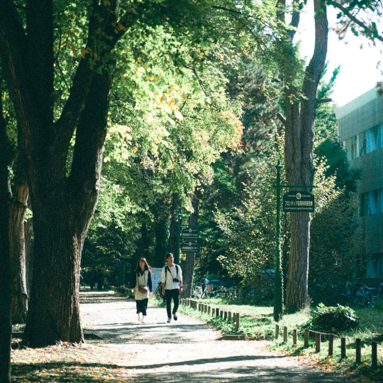 Financial Aid and Tuition Strategies