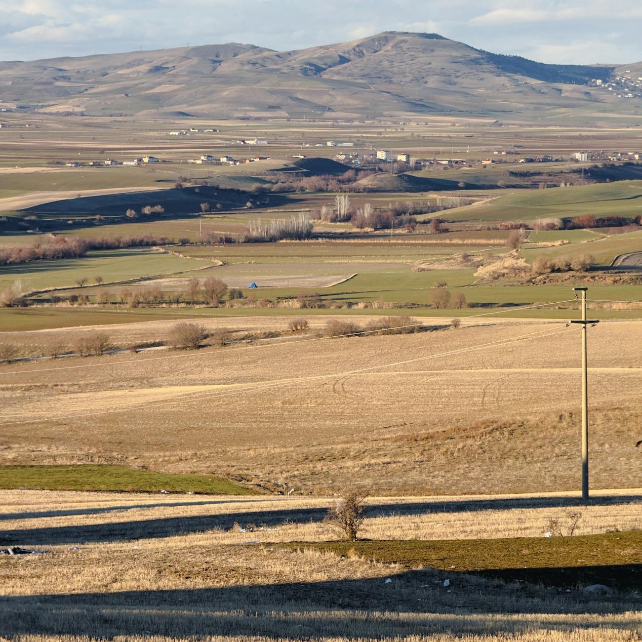Economic Risk Evaluation