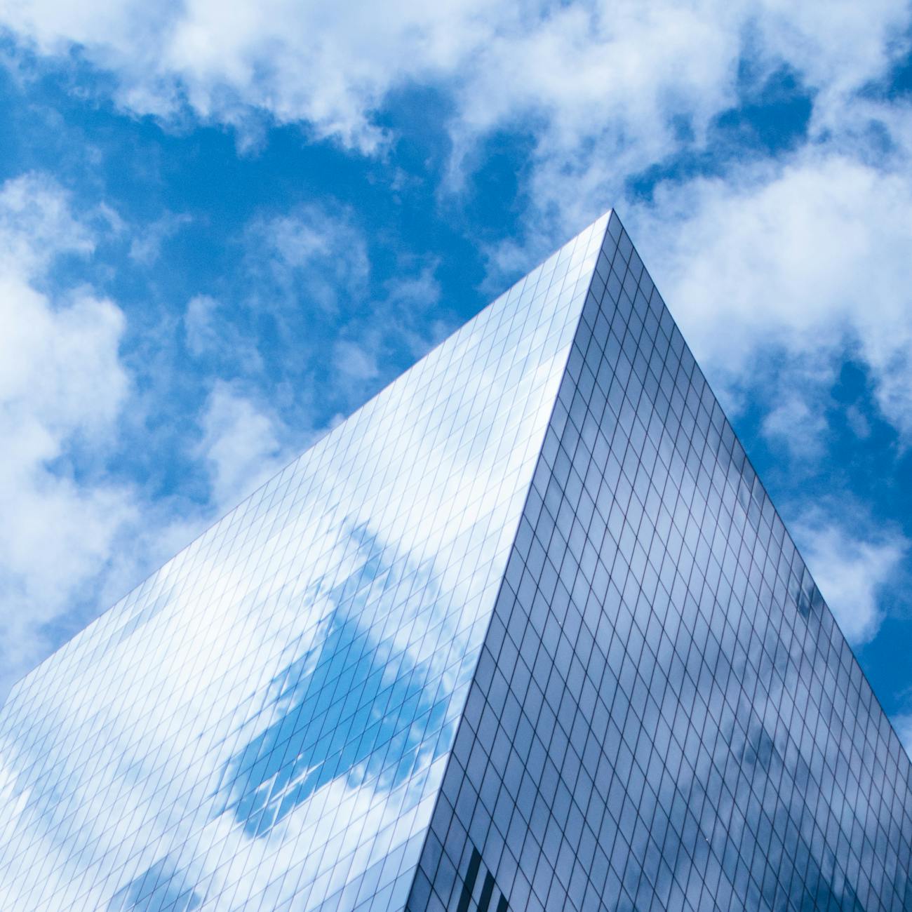 Accounts Receivable and Payable Management