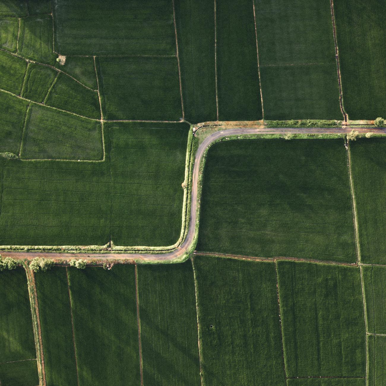 Sustainable Land Development Practices