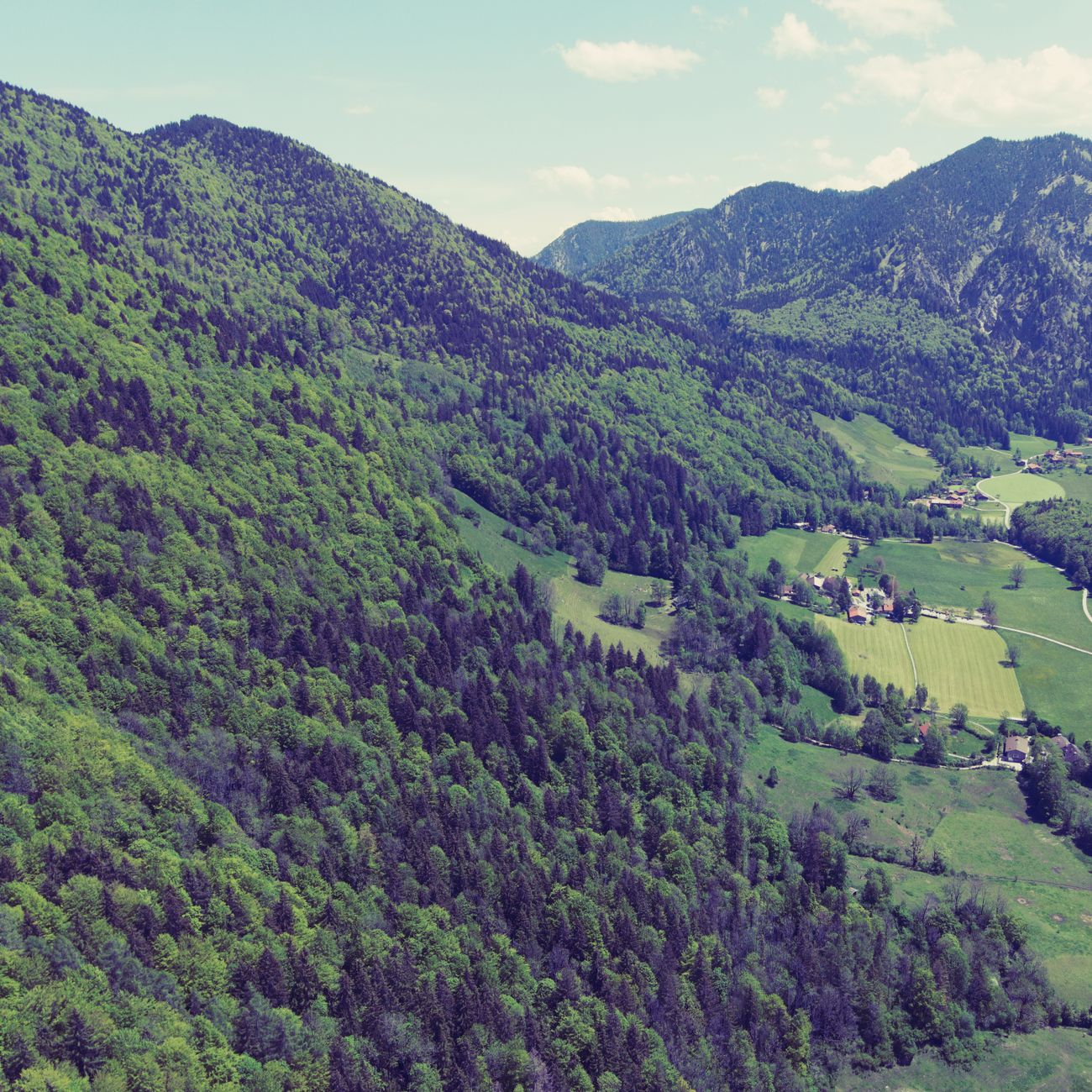 * Introduction to Carbon Offset Markets