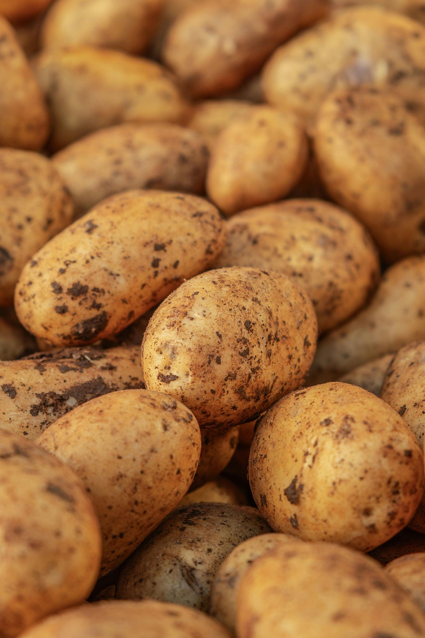 Advanced Carbohydrate Counting