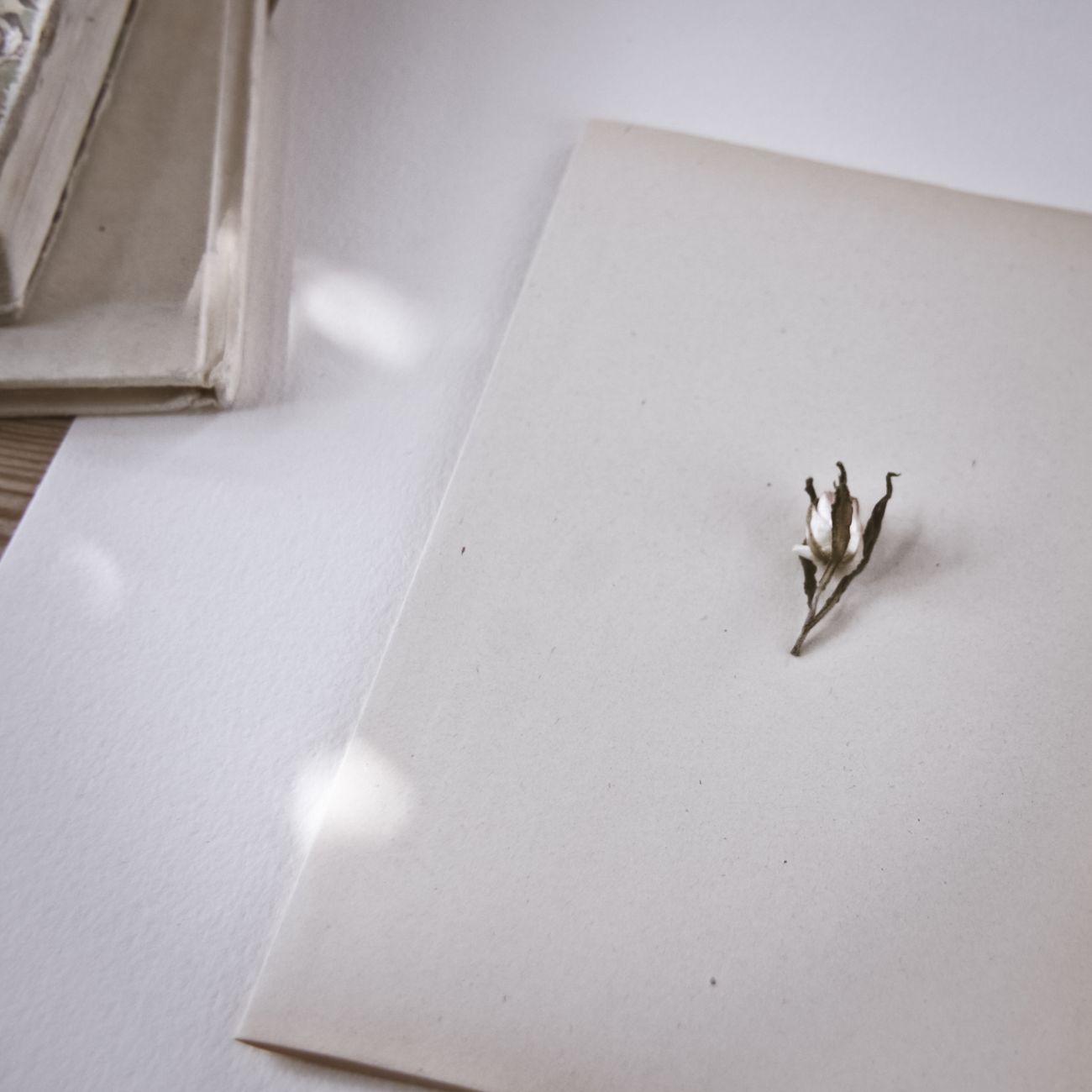 Paper Degradation and Preservation