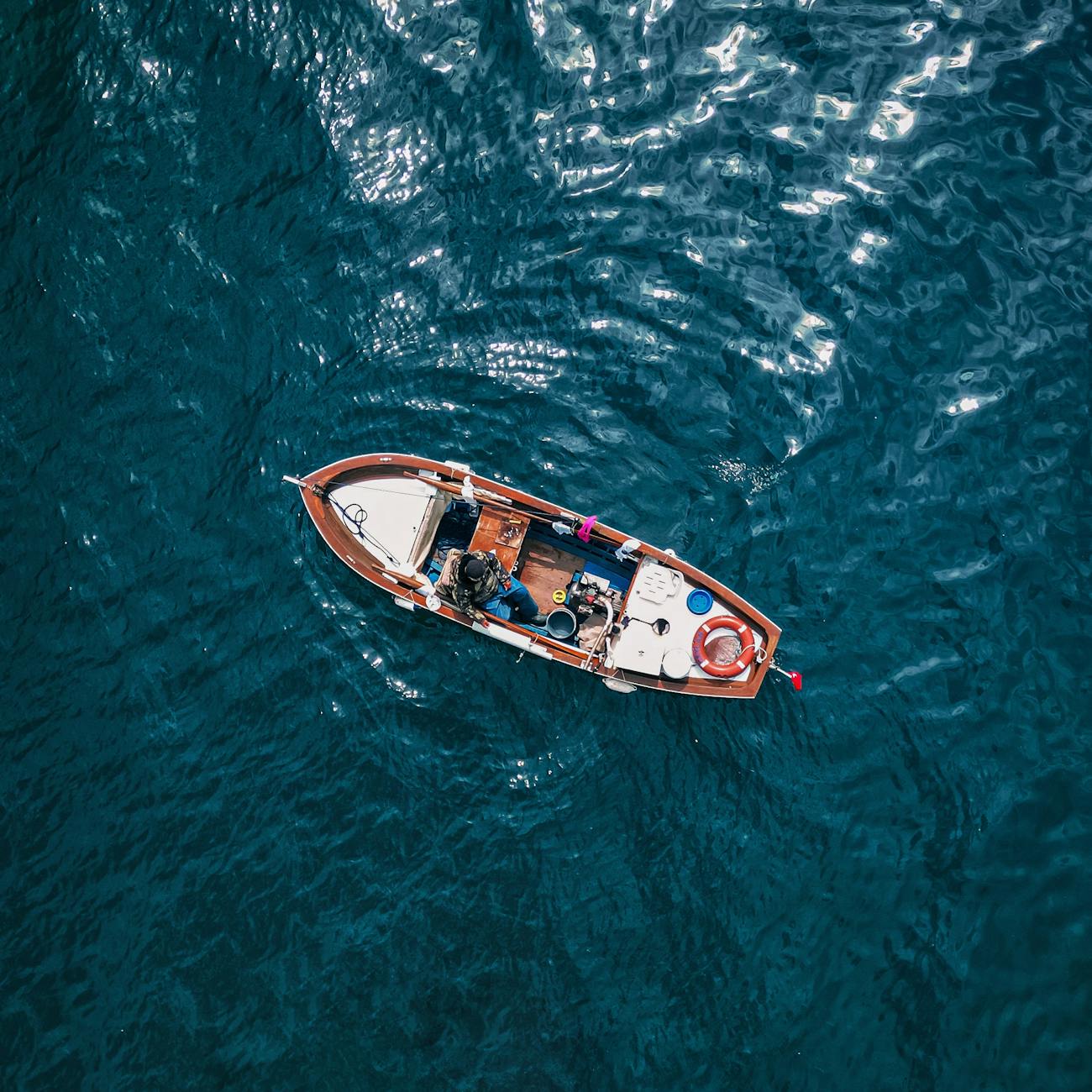 Marine Robotics and Automation