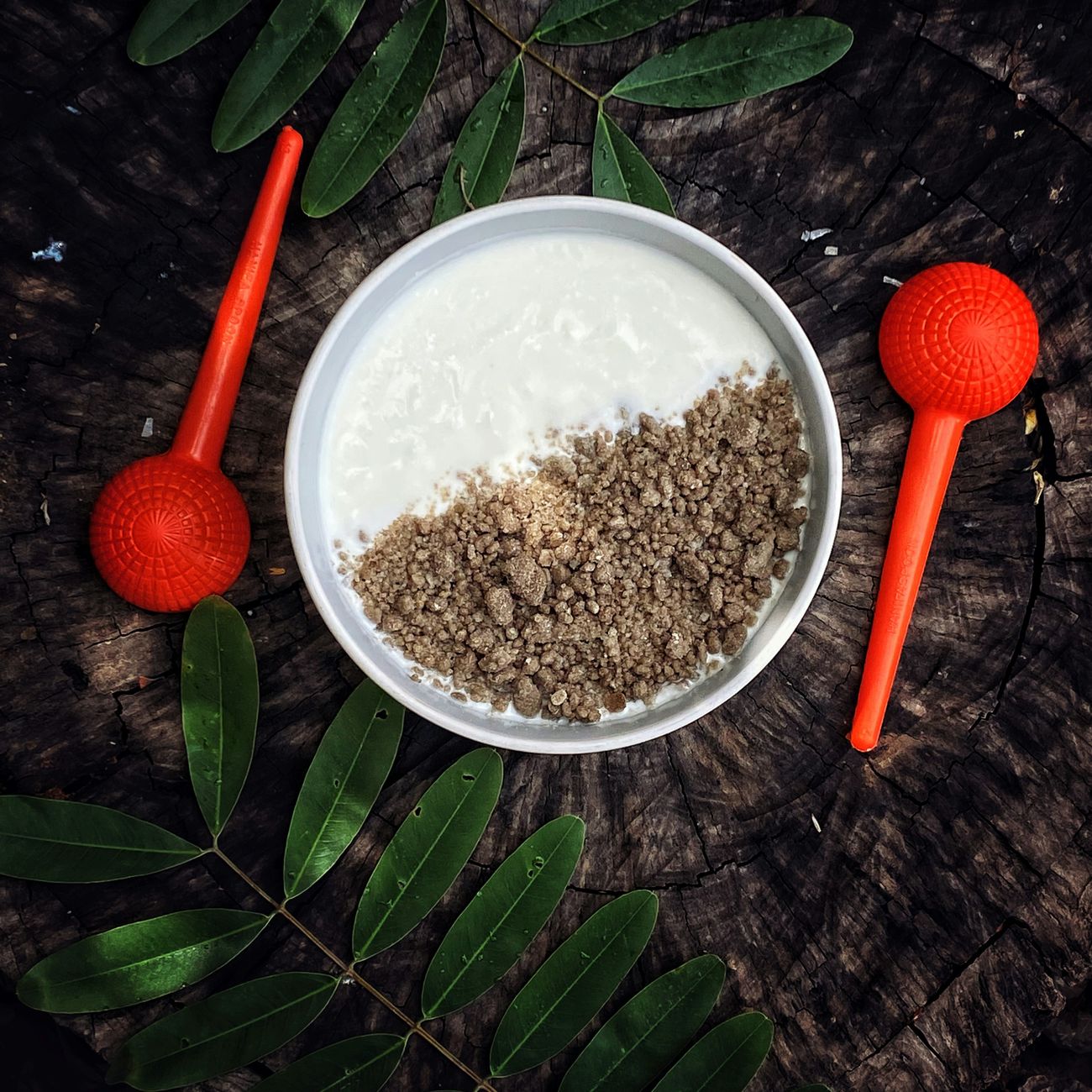 Tempeh Production Process