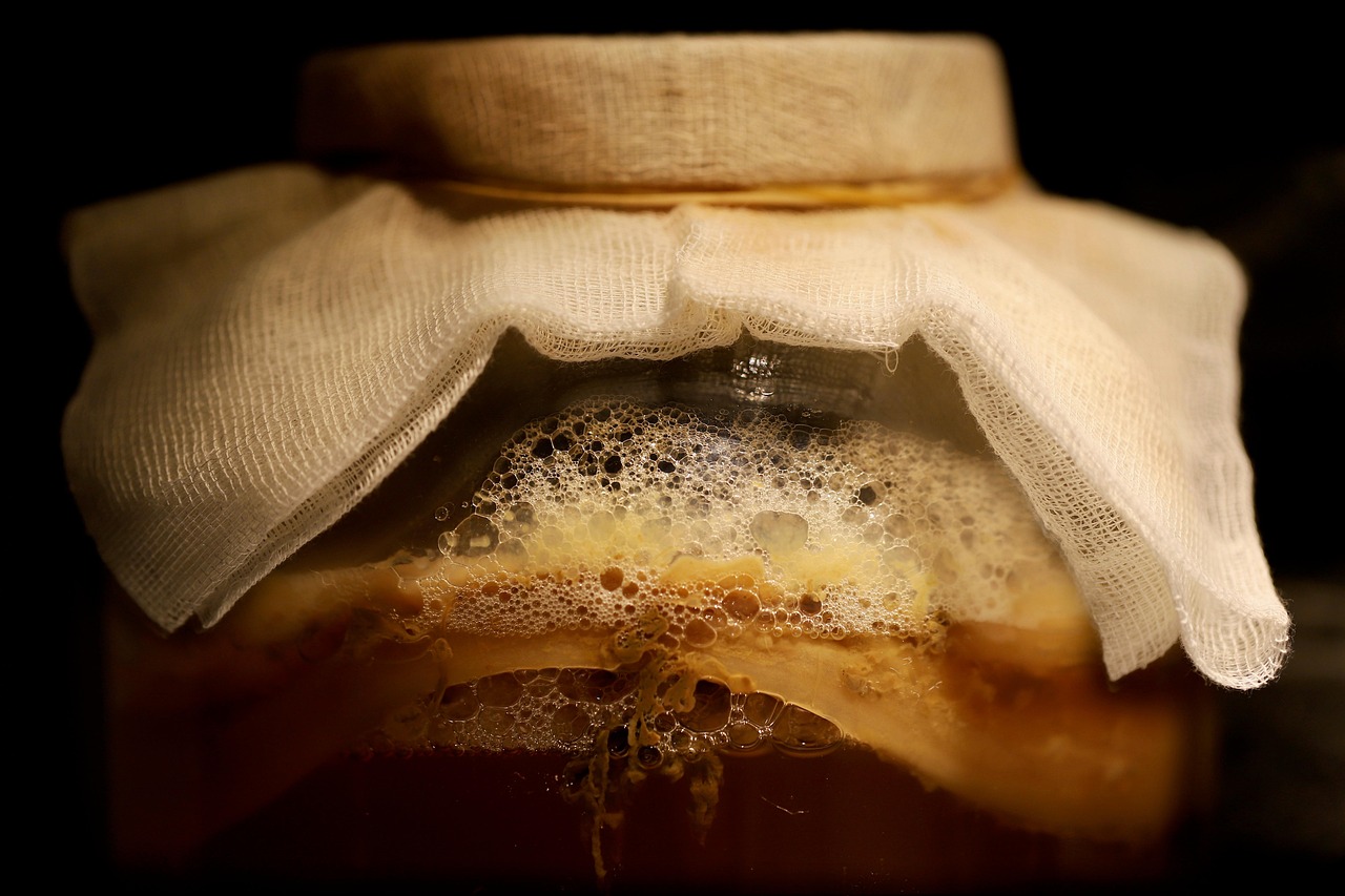 Raw Materials for Tempeh Fermentation