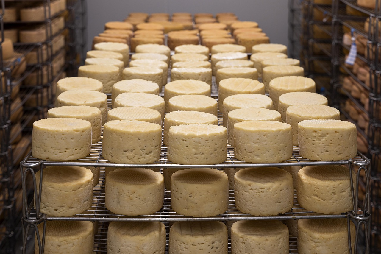 Tempeh Inoculation and Incubation