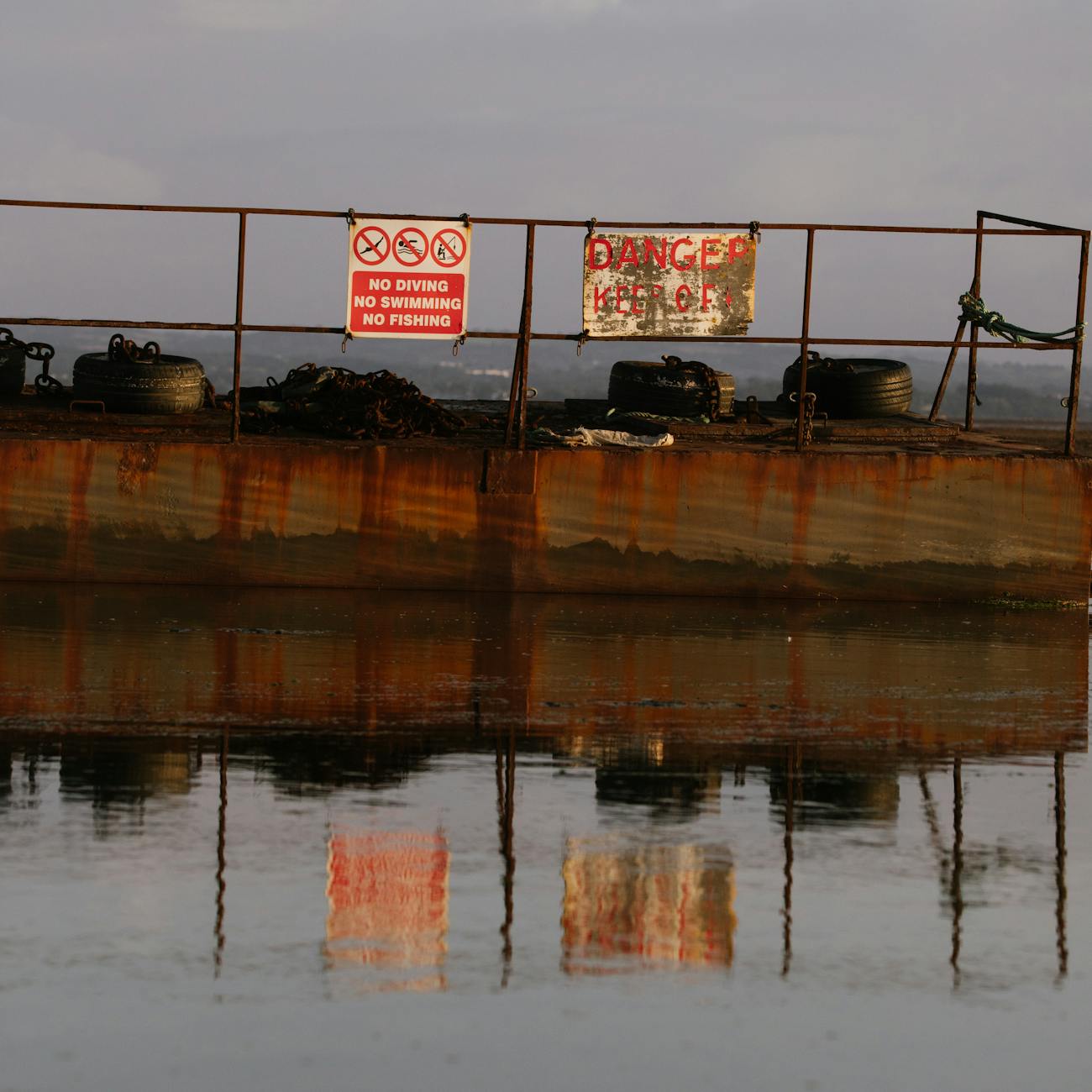 Impact of Pollution on Marine Ecosystems