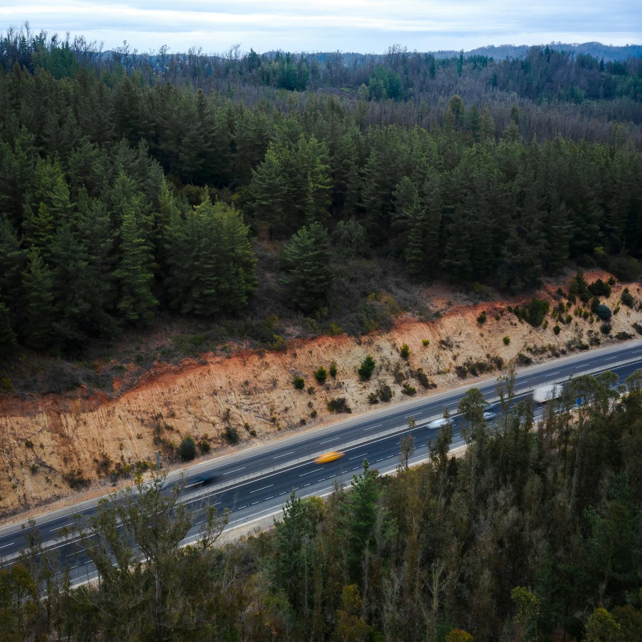 Mine Site Rehabilitation and Closure