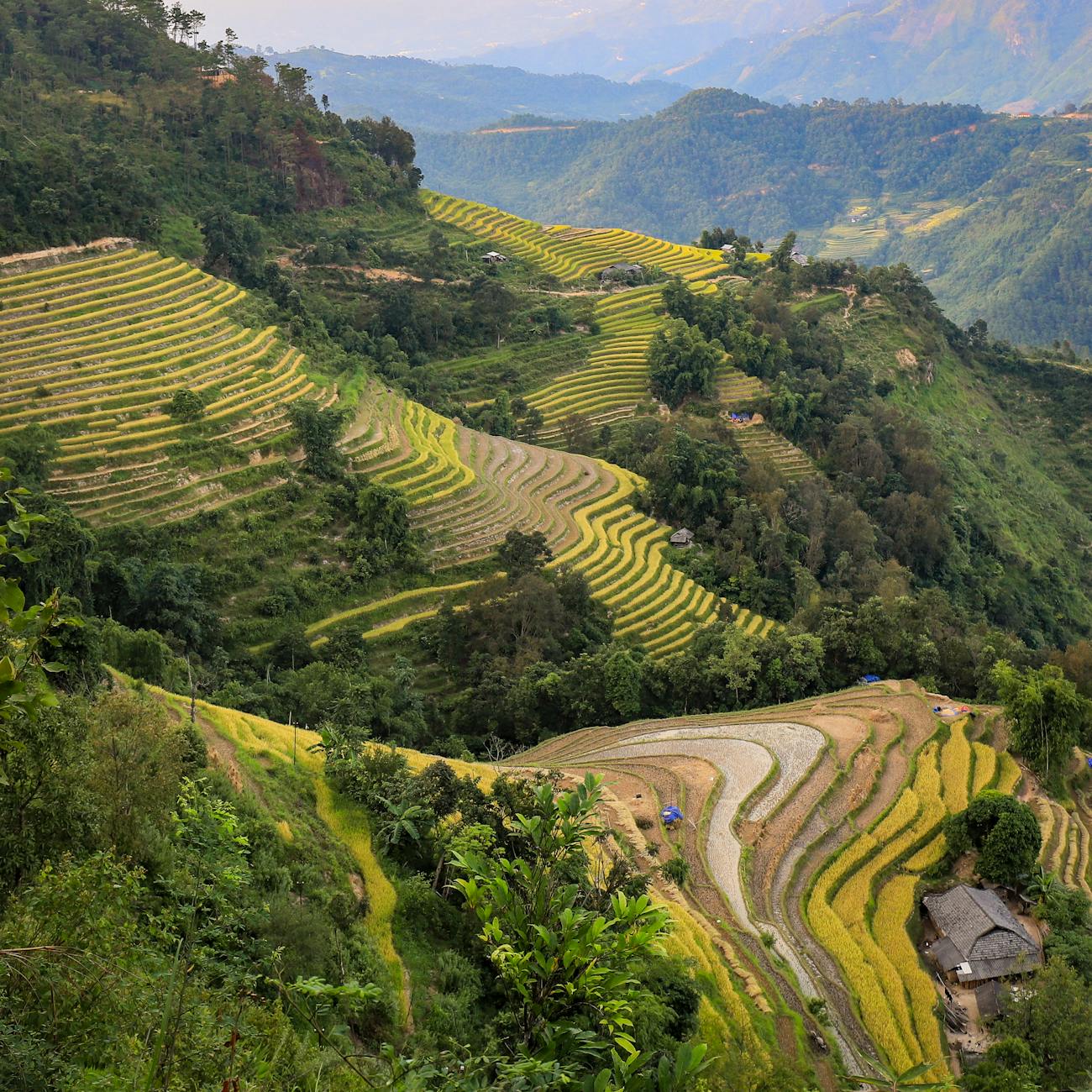 Introduction to Rural Tourism Management