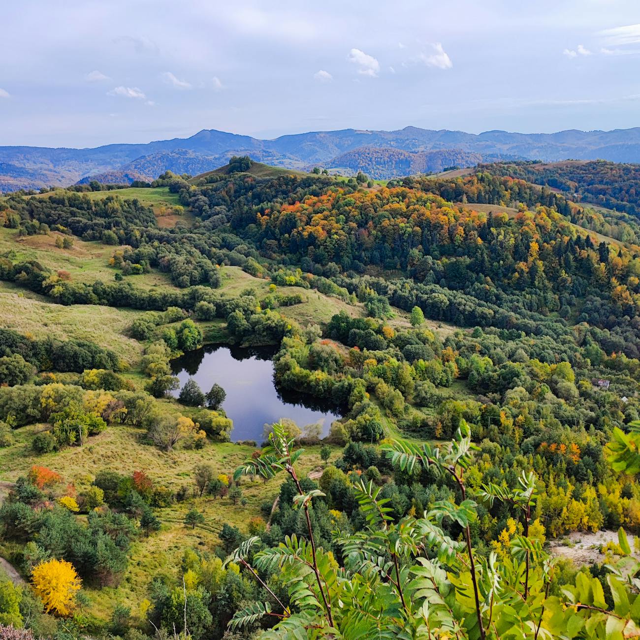 Nature Conservation and Biodiversity