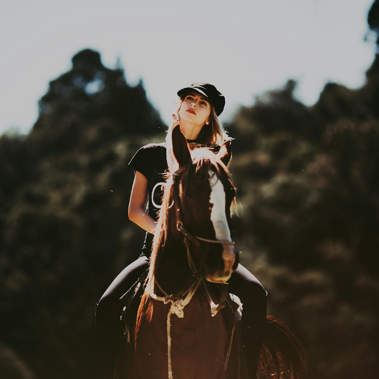 Equine Sports Medicine