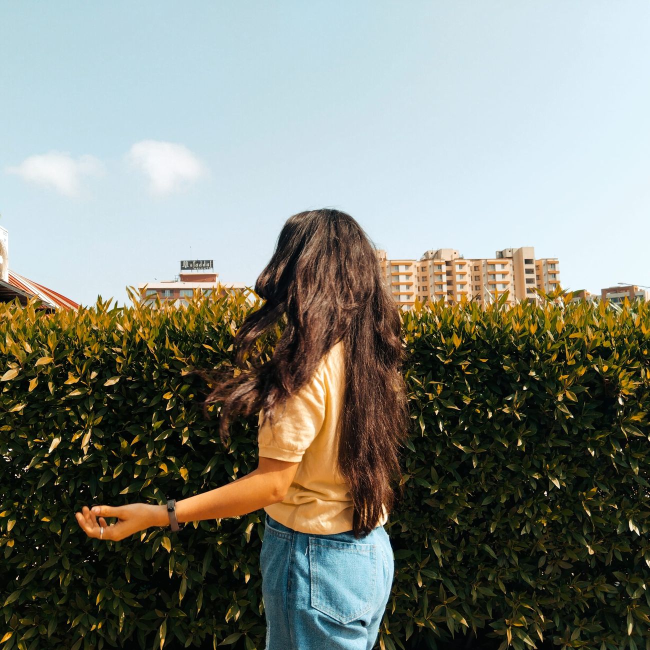 Understanding Hair Growth Cycle