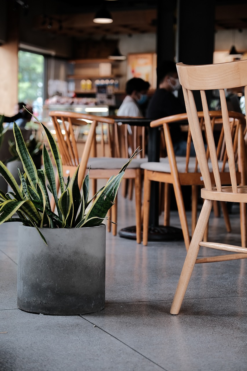 * Social Behavior in Public Spaces