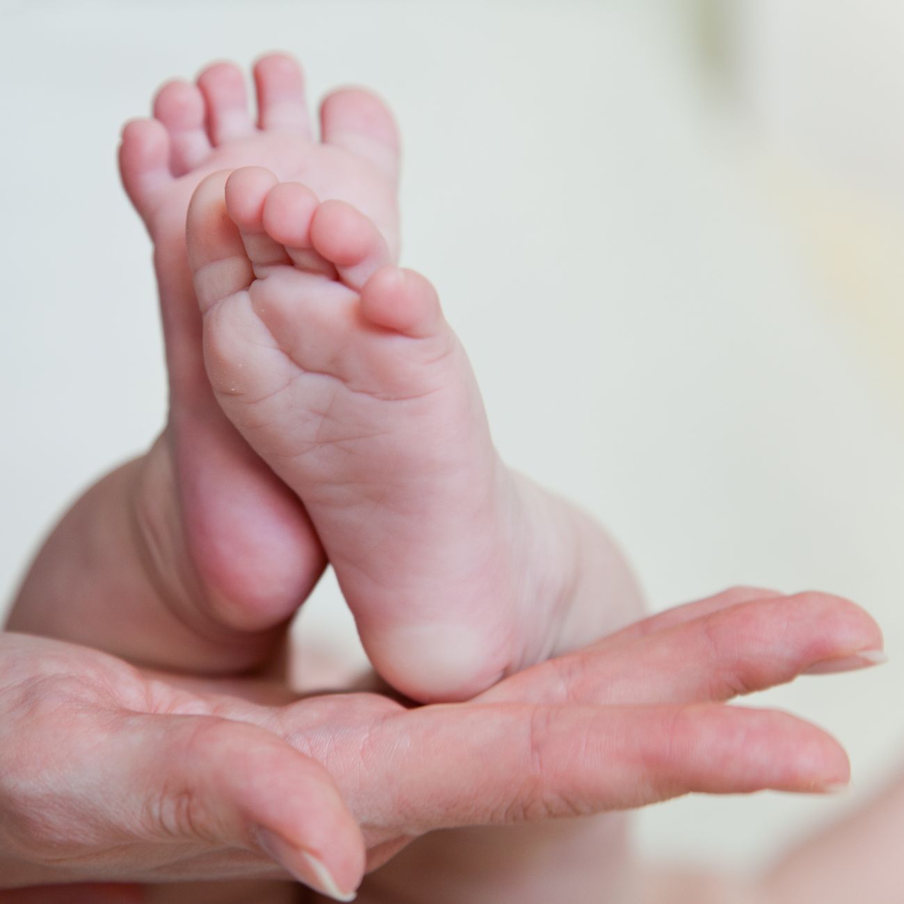 Anatomy and Physiology of the Foot