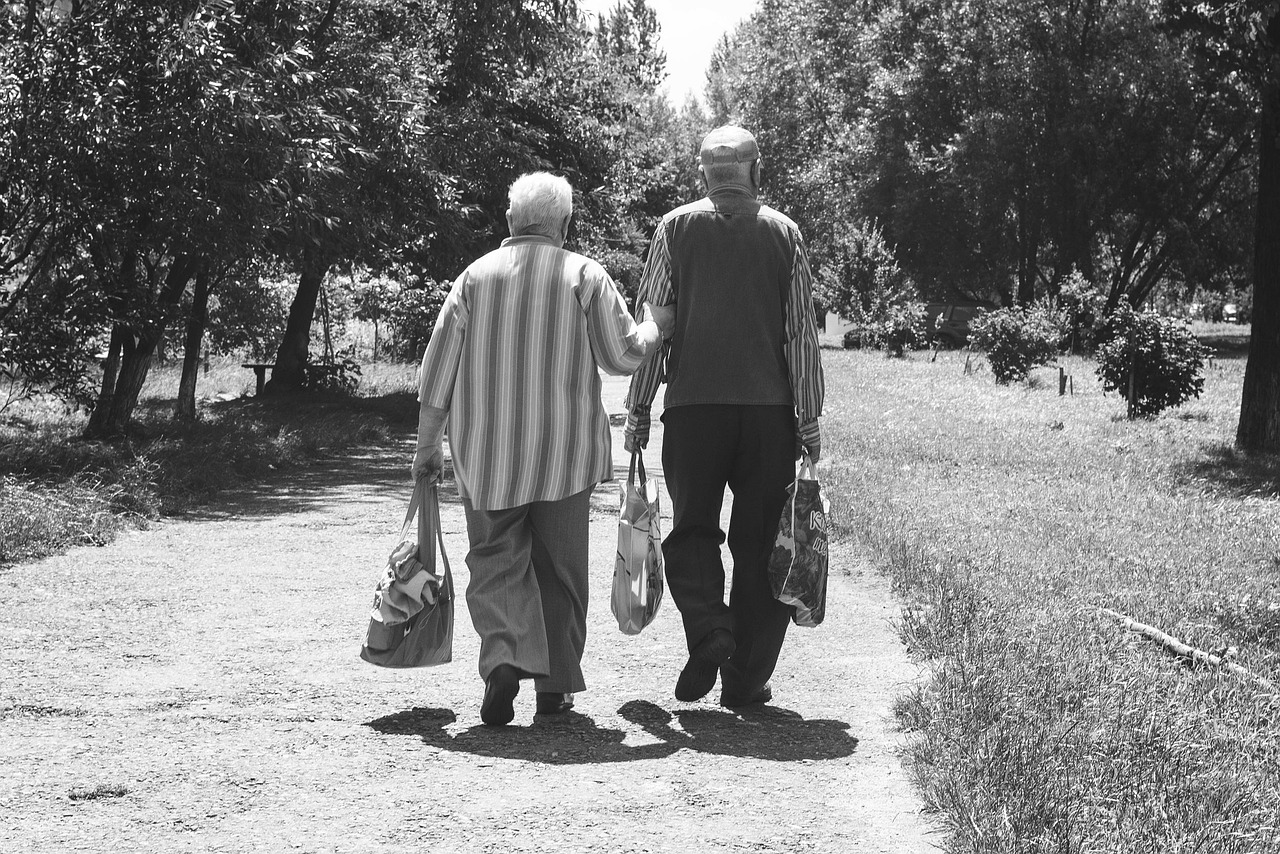 Principles Of Healthy Aging