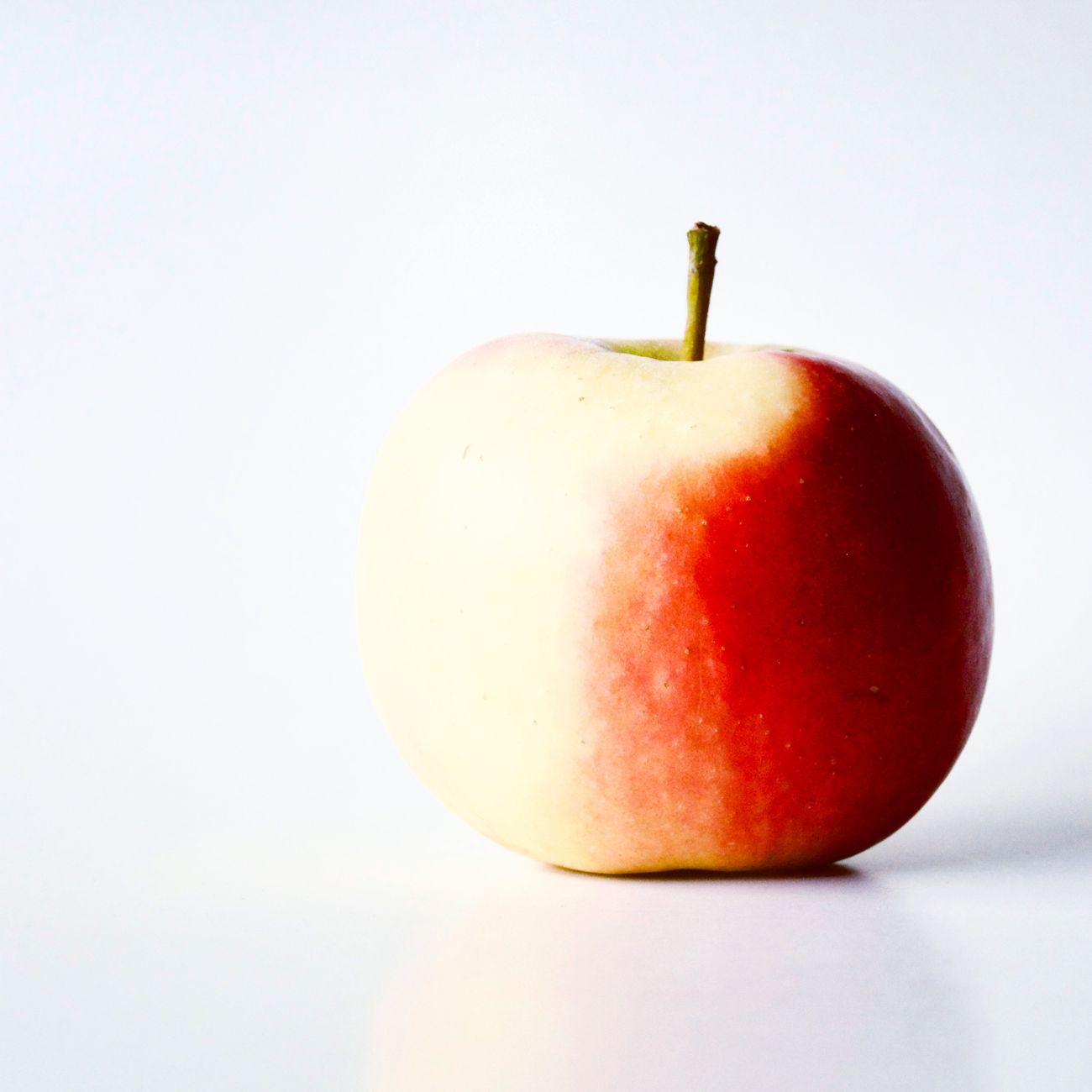 Introduction To Pureed Diet Preparation