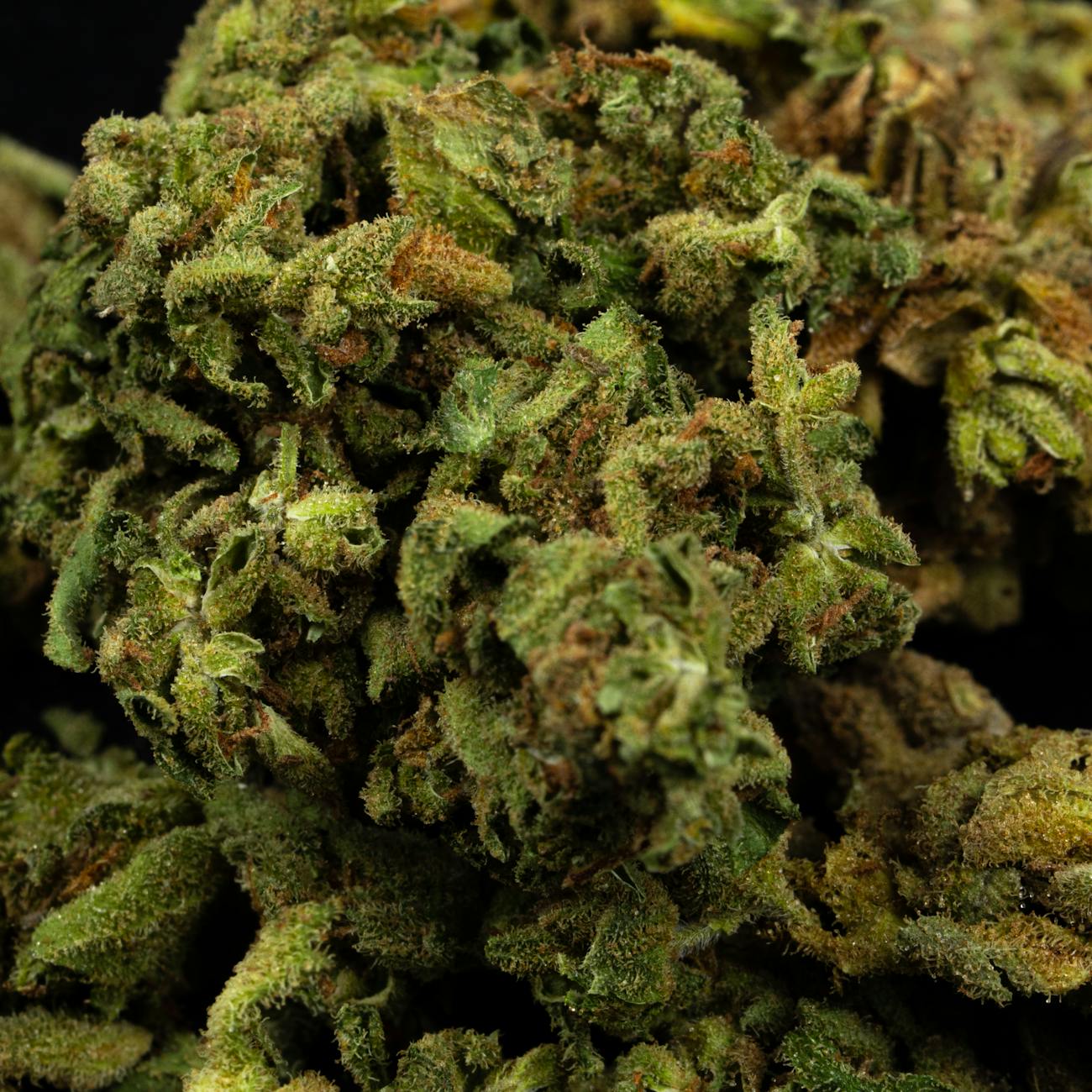 Cannabis Business Law
