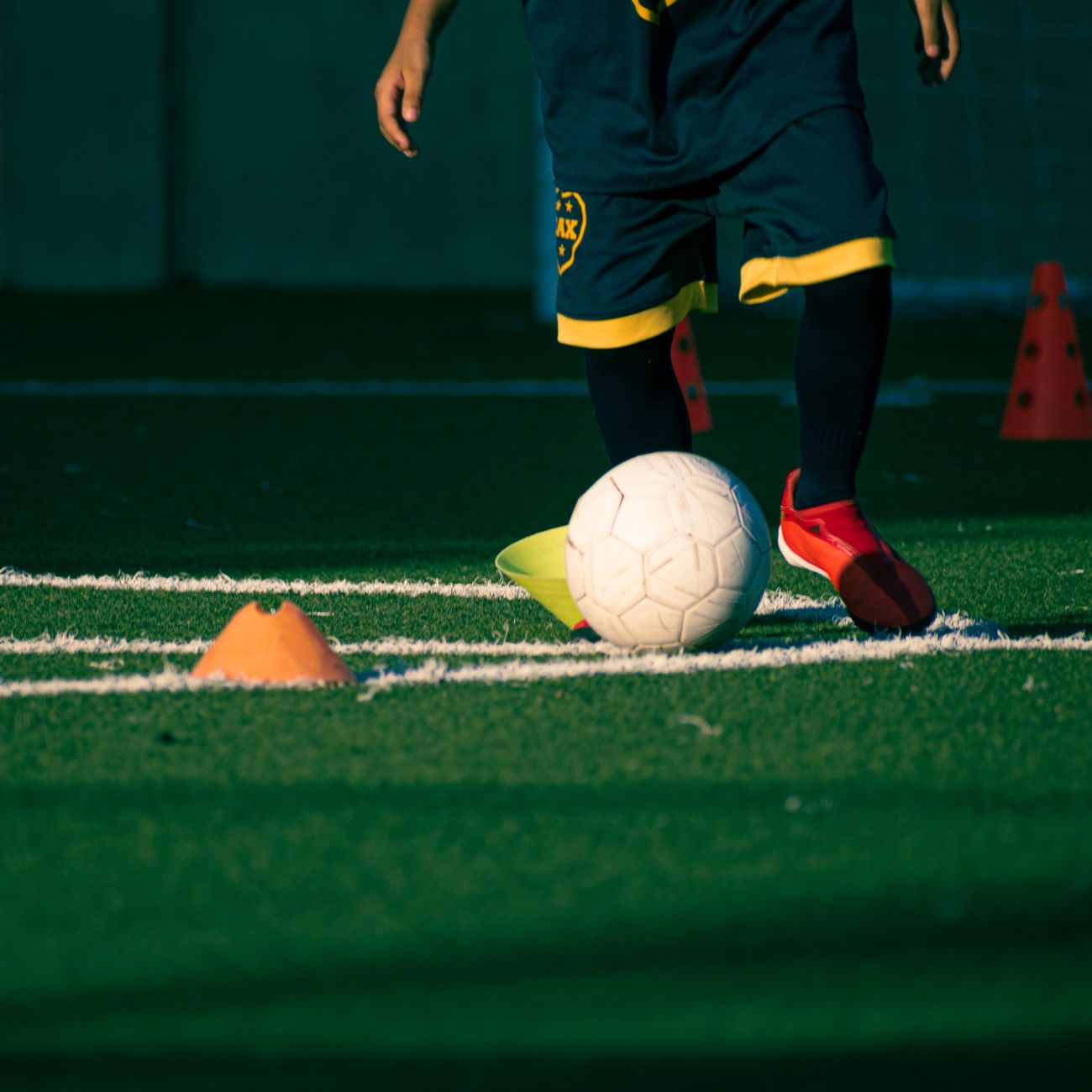 Emotional Intelligence In Sports