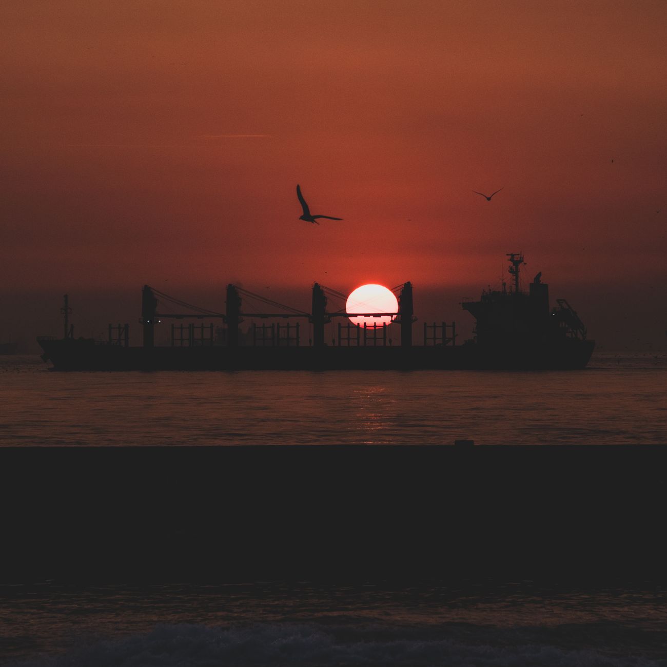 Risk Management and Resilience in Green Shipping