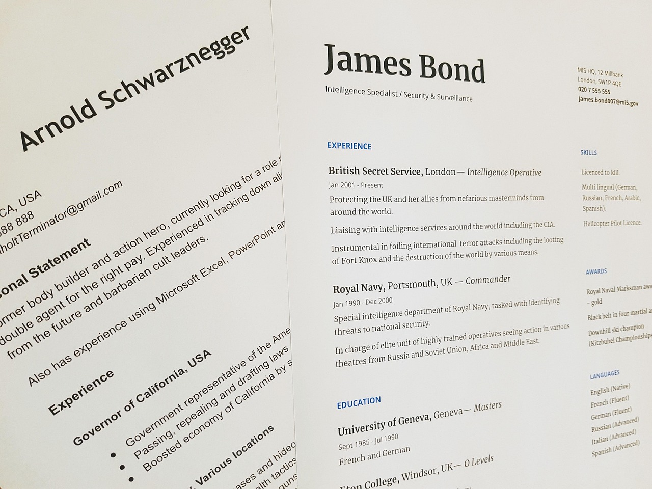 Building a Professional Portfolio in Early Storytelling