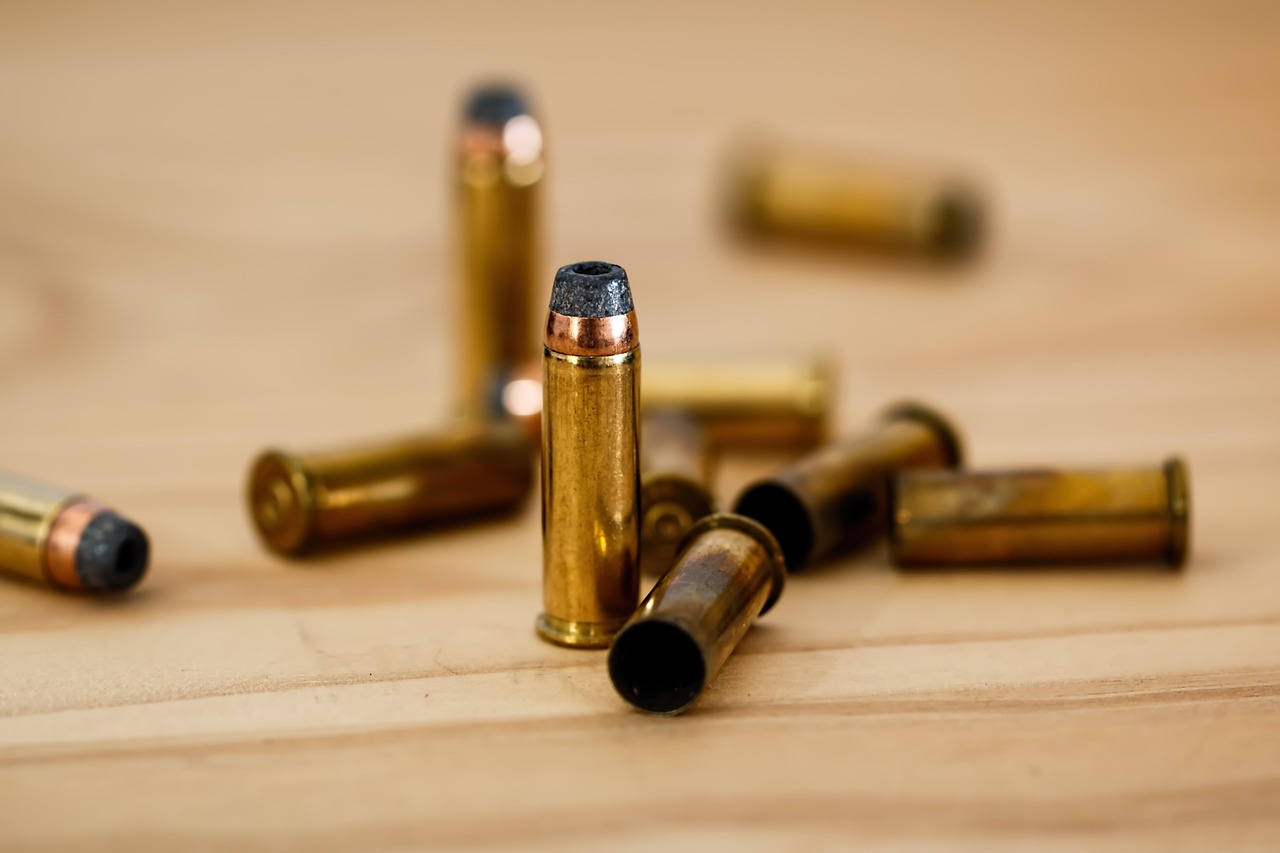 Budgeting and Financial Control for Defense