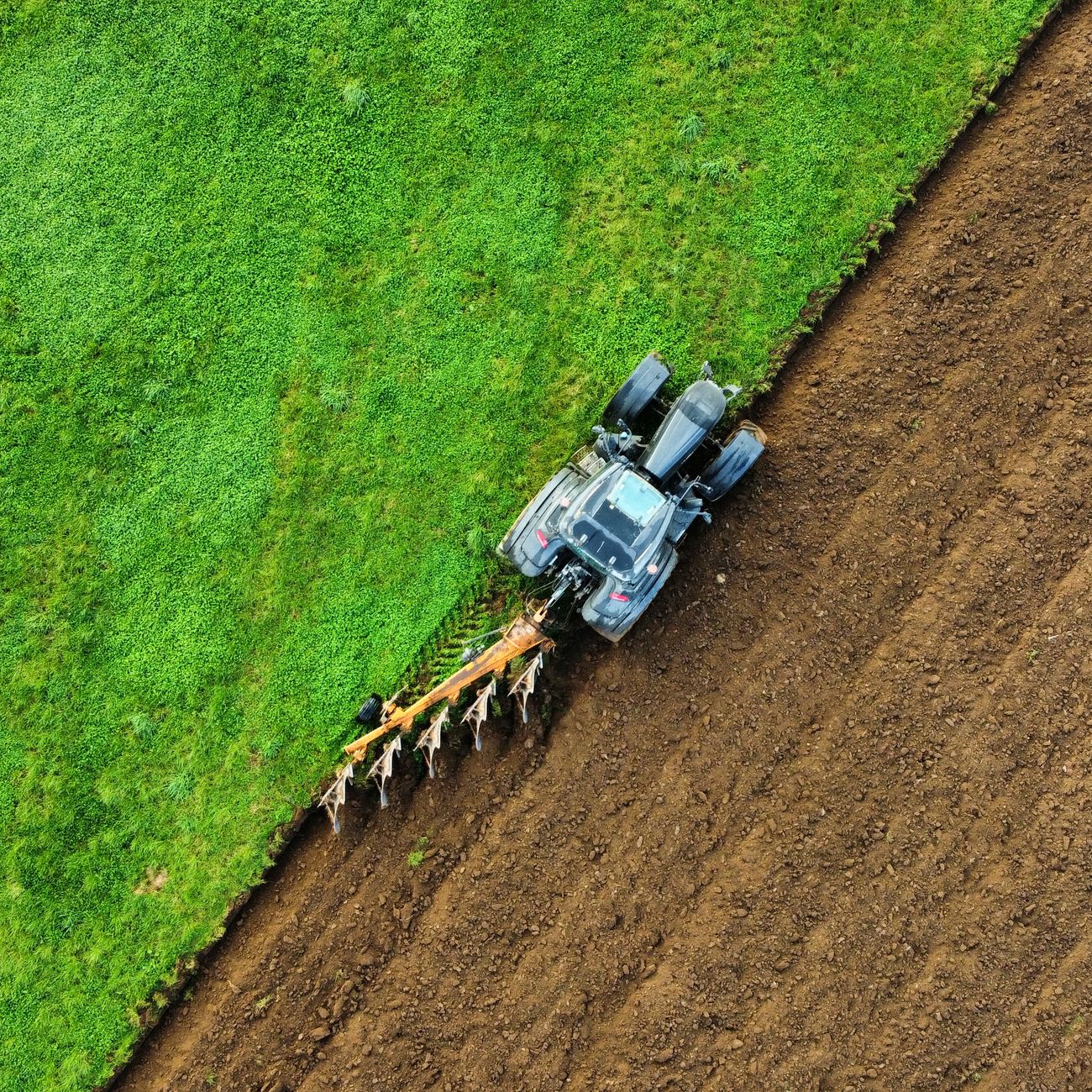Water Treatment and Disinfection Strategies