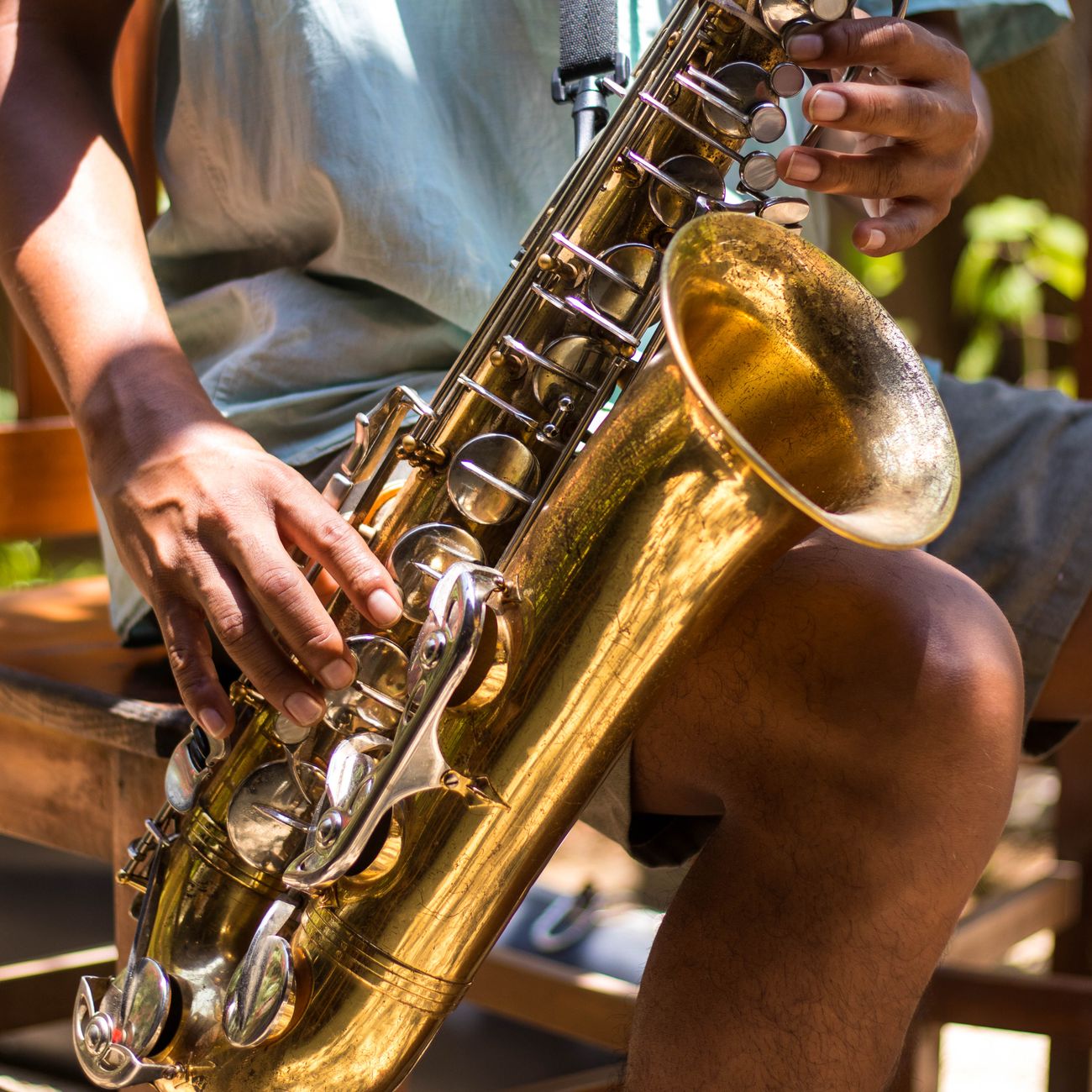 Neuroplasticity and Musical Development