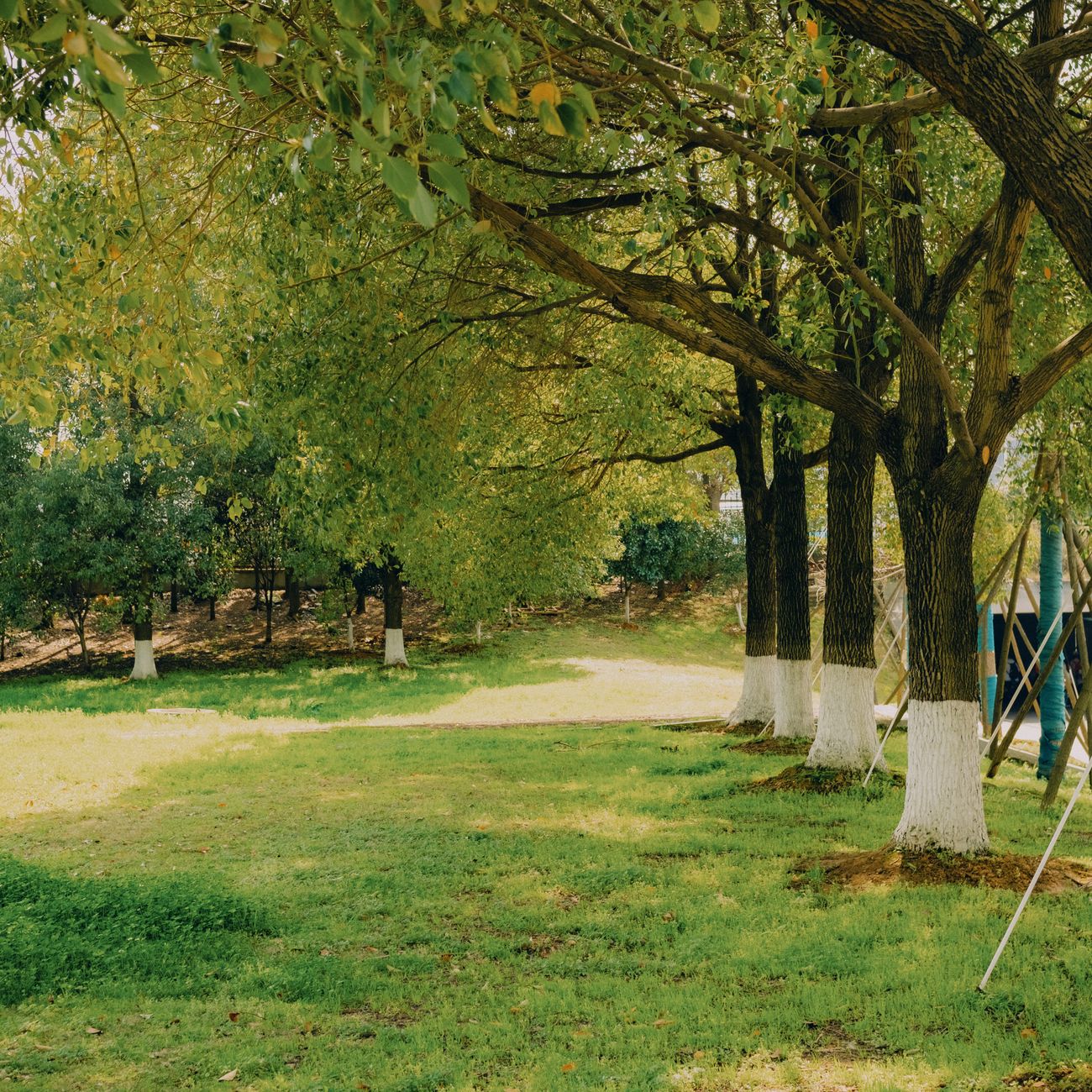 Foundations of Eco‑Friendly Cleaning