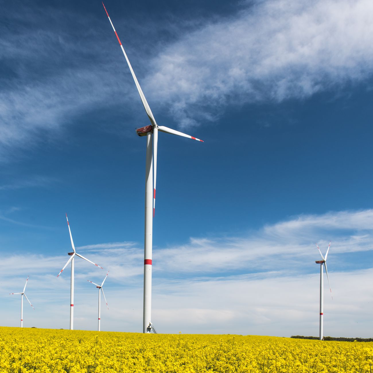 Energy Efficiency and Sustainability