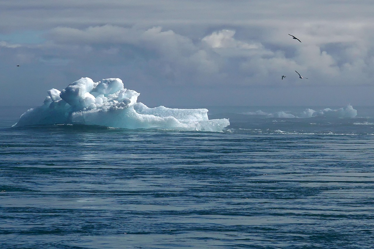 Climate Change Economics