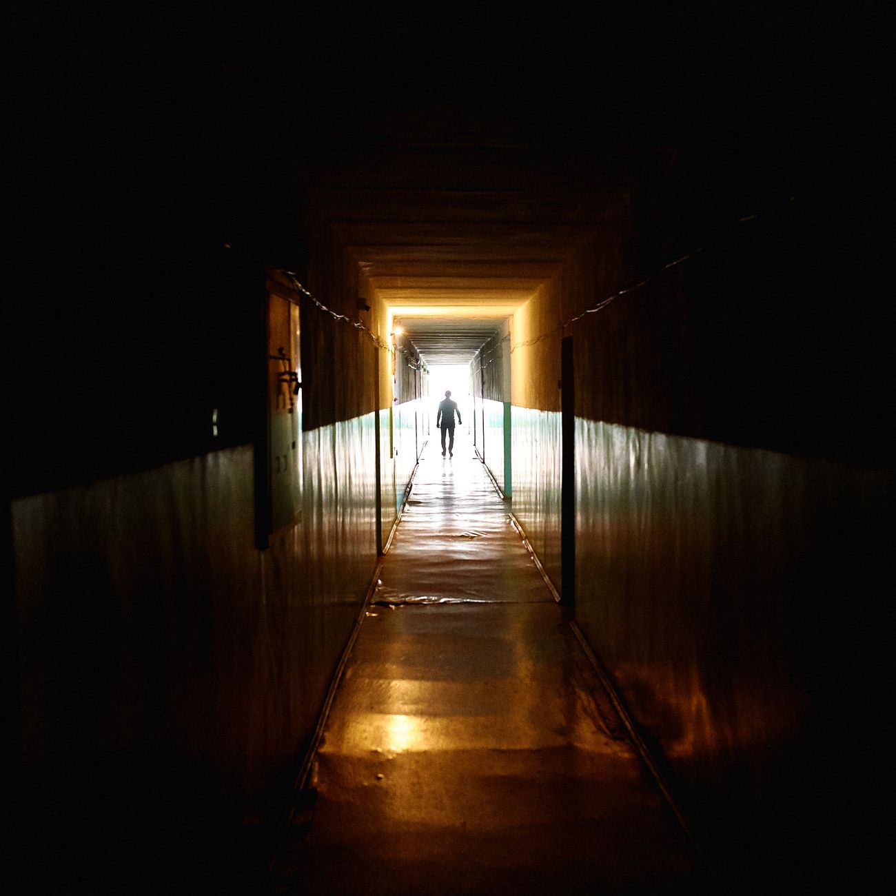 Theories of Consciousness  