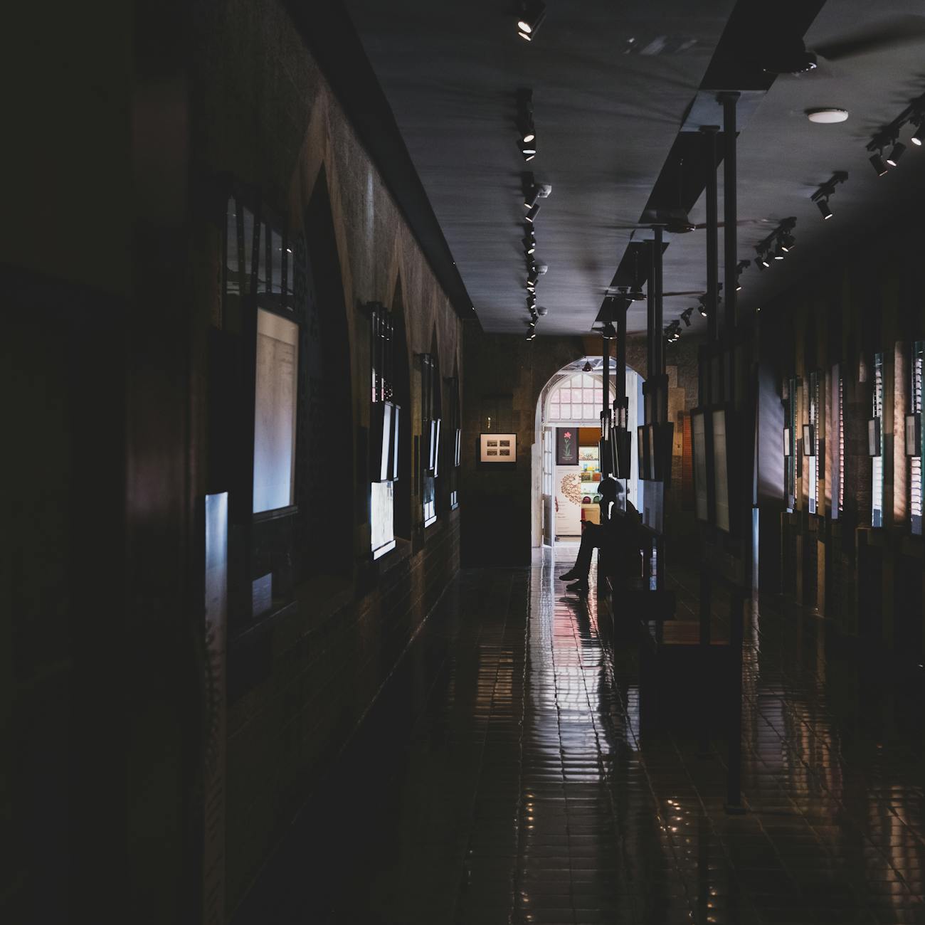Criminal Behavior and Mental Health  
