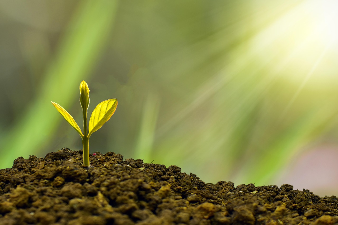 Why the Global Market is Paying a Premium for This Skill Set
